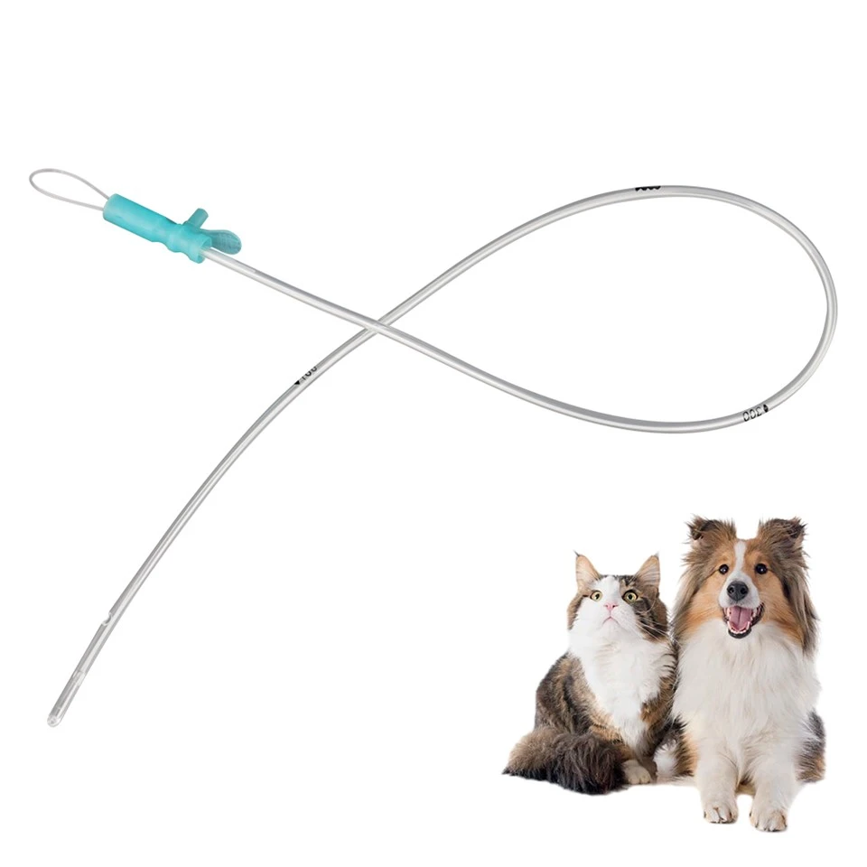 Veterinary Nasogastric Tube